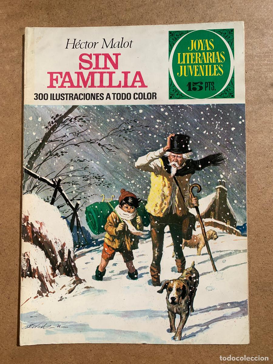Tebeos: Joyas Literarias Juveniles n&ordm; 31: Sin Familia - D2 1&ordf; Edici&oacute;n