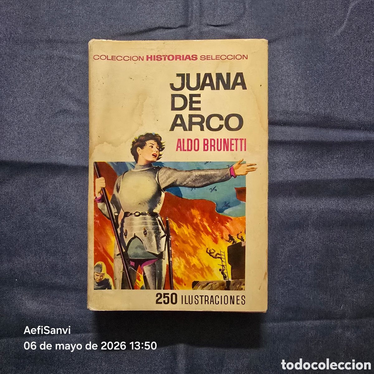 Tebeos: HISTORIAS SELECCI&Oacute;N, SERIE HISTORIA Y BIOGRAF&Iacute;A 1: JUANA DE ARCO (ALDO BRUNETTI) (BRUGUERA)