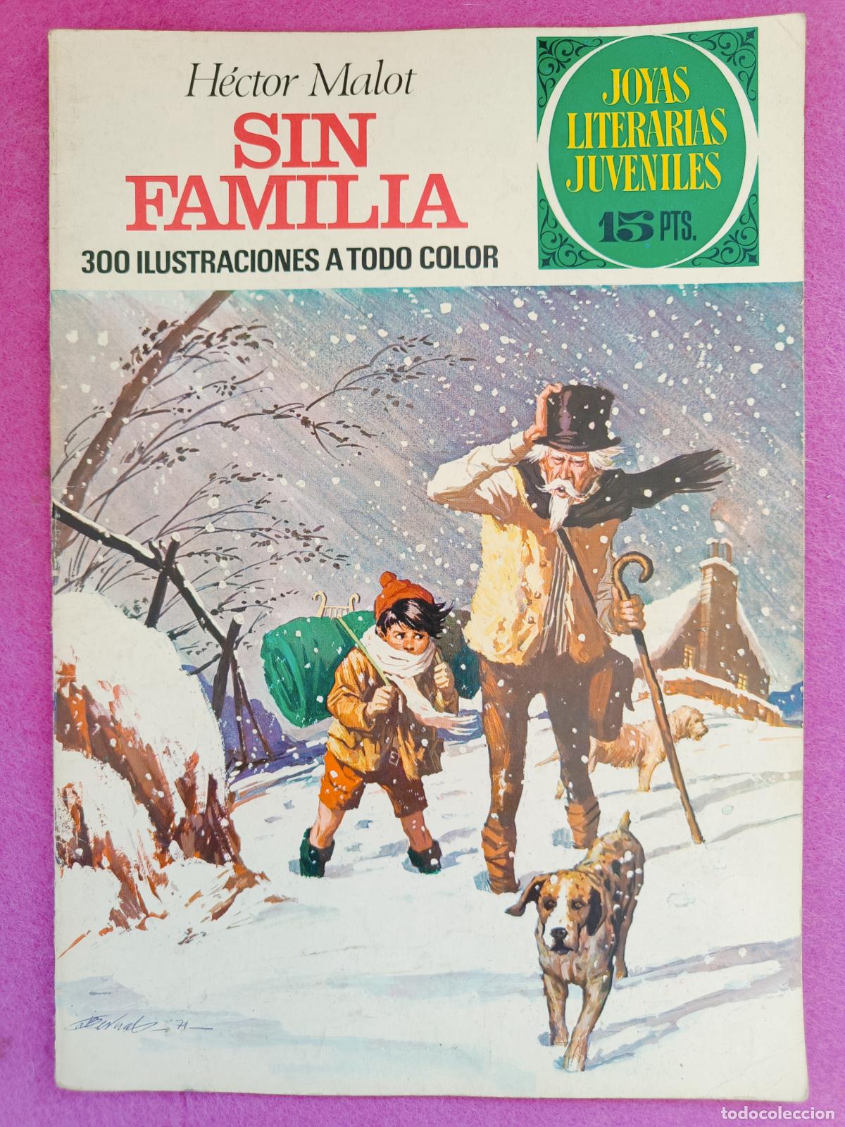 Tebeos: TEBEO JOYAS LITERARIAS JUVENILES HECTOR MALOT SIN FAMILIA N&ordm; 31 ED. BRUGUERA 1972