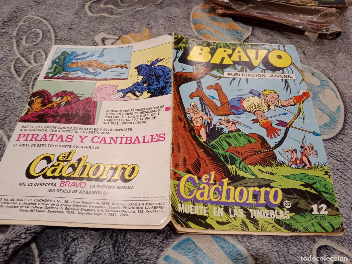 Tebeos: BRAVO EL CACHORRO N&ordm; 28 MUERTE EN LA TINIEBLAS - EDITORIAL BRUGUERA 1976