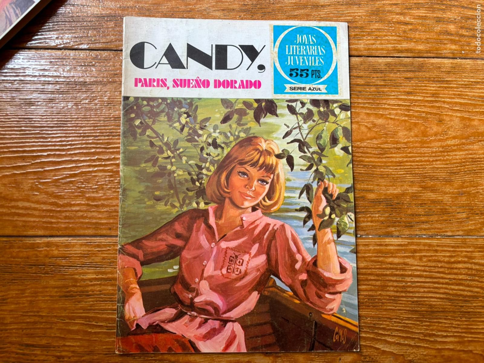 Tebeos: CANDY N&ordm; 15 JOYAS LITERARIAS JUVENILES SERIE AZUL 1978
