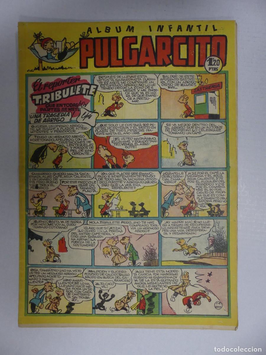 BDs: ALBUM INFANTIL PULGARCITO