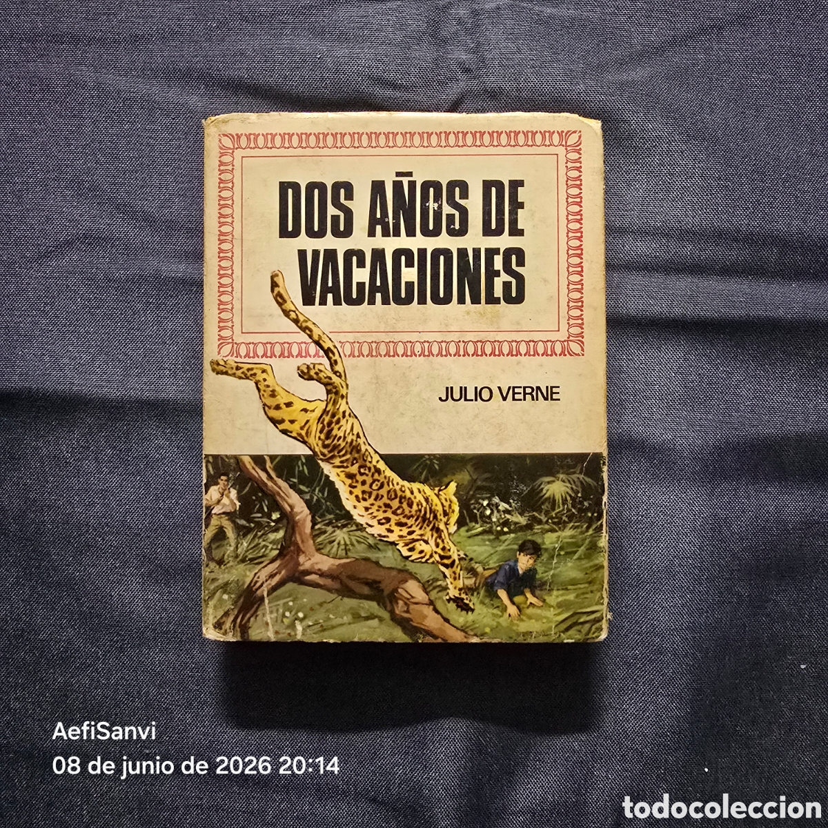 Tebeos: HISTORIAS INFANTIL 30: DOS A&Ntilde;OS DE VACACIONES (JULIO VERNE) (BRUGUERA)