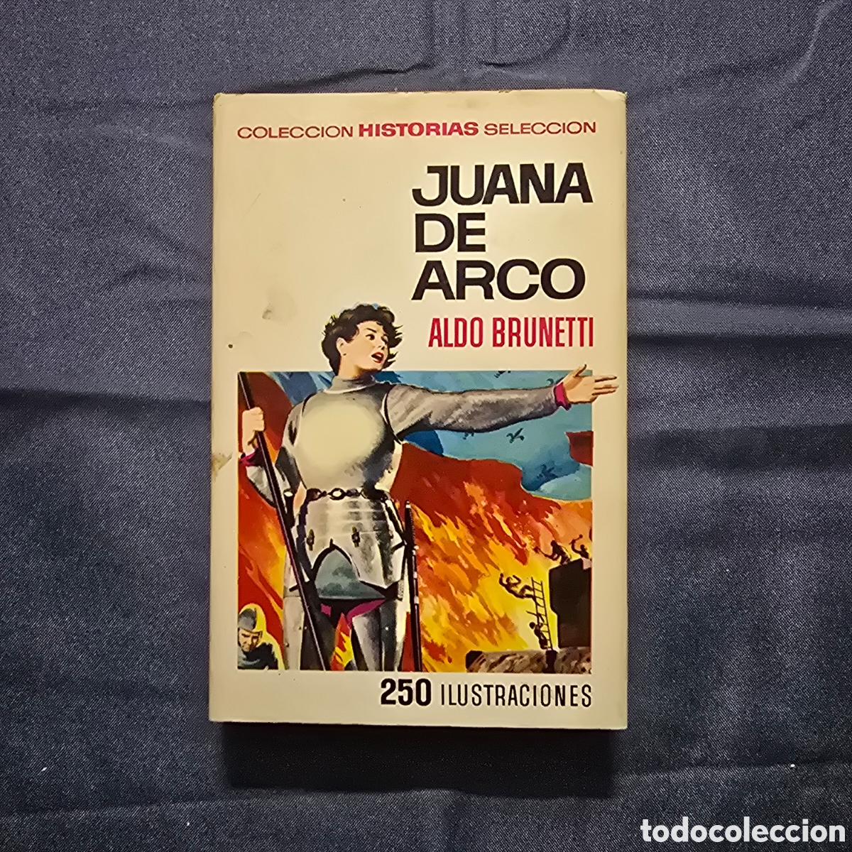 Tebeos: HISTORIAS SELECCI&Oacute;N, SERIE HISTORIA Y BIOGRAF&Iacute;A 1: JUANA DE ARCO (ALDO BRUNETTI) (BRUGUERA)