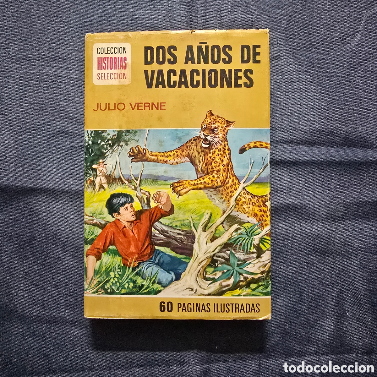 Livros de Banda Desenhada: HISTORIAS SELECCI&Oacute;N, SERIE JULIO VERNE 10: DOS A&Ntilde;OS DE VACACIONES (JULIO VERNE) (BRUGUERA)