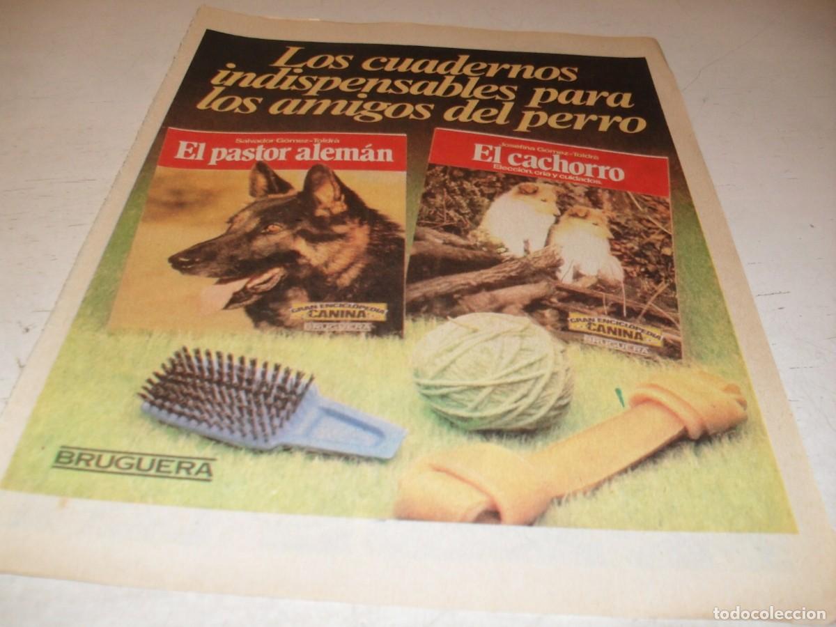Tebeos: (REF.95),EN 8 PAGINAS WENSTERN:LOS JUSTICIEROS:LA CA&Ntilde;ADA MALDITA.BRUGUERA,A&Ntilde;OS 80