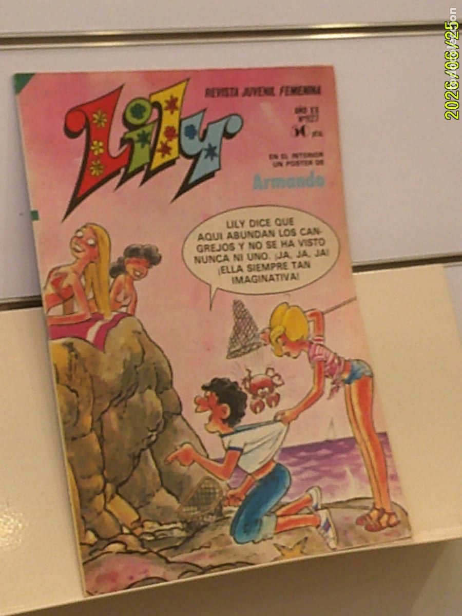 Tebeos: REVISTA JUVENIL FEMENINA LILY A&Ntilde;O XX N&ordm; 1127 INCLUYE POSTER DE ARMANDO - BRUGUERA