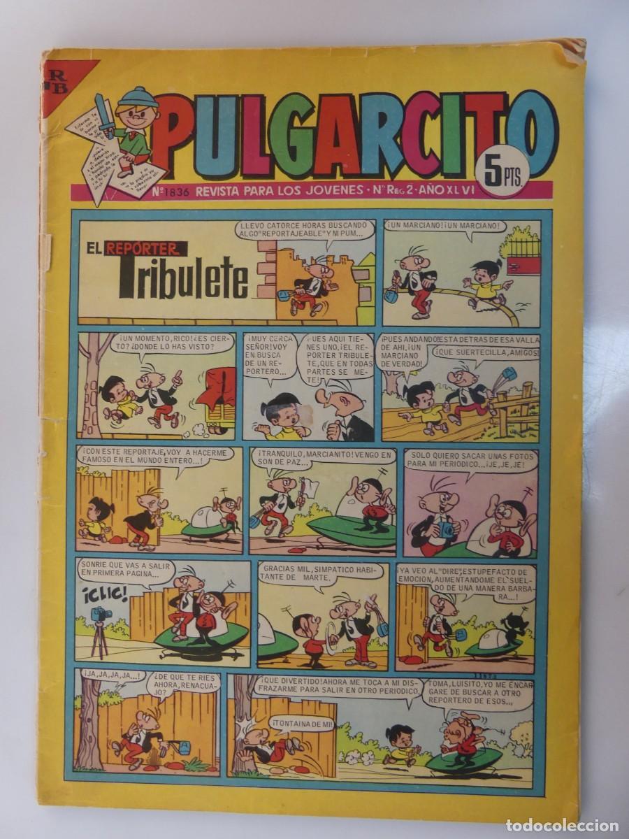 Giornalini: PULGARCITO &ndash; REVISTA PARA LOS JOVENES NUMERO 1836