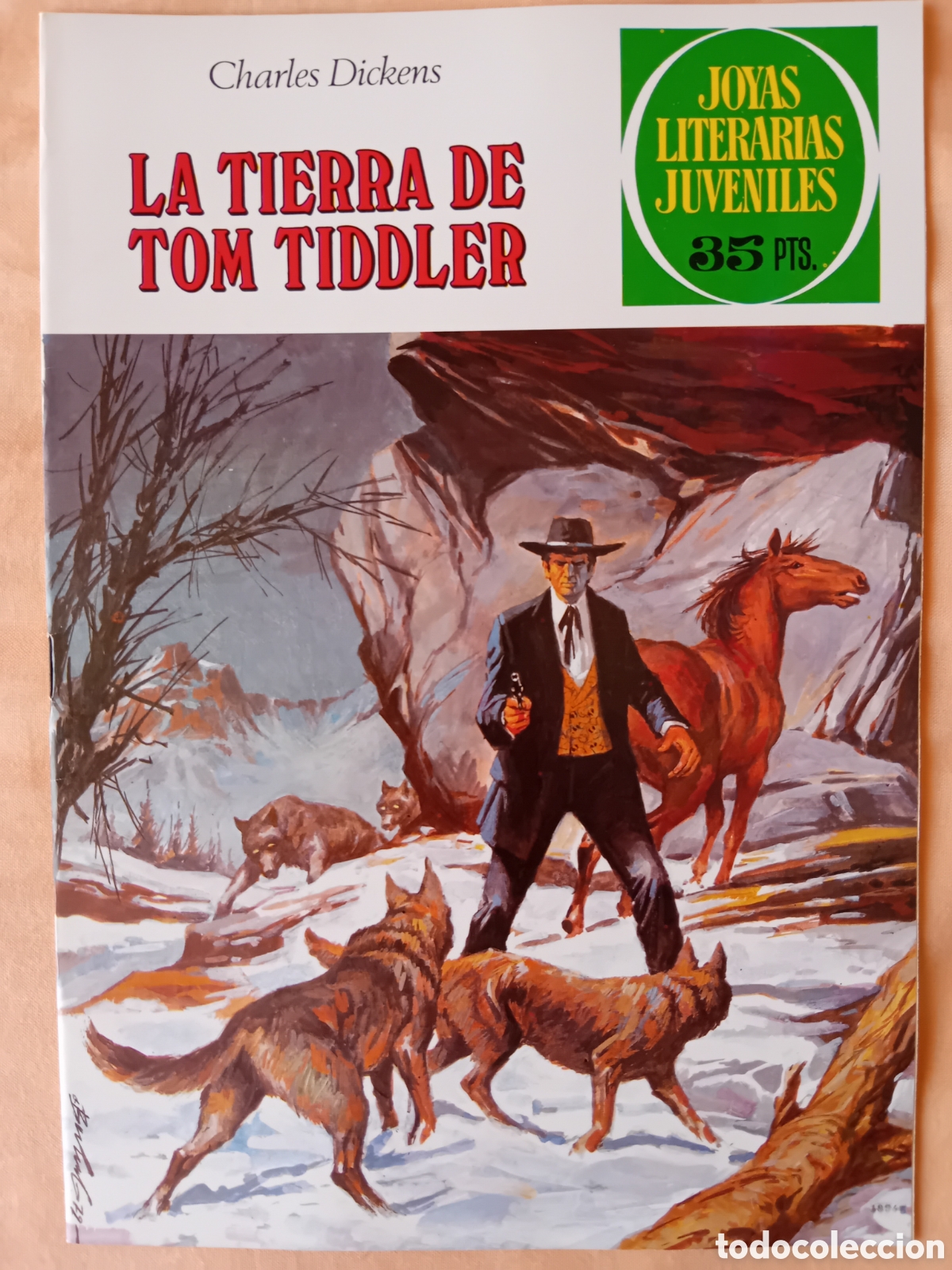 Tebeos: LA TIERRA DE TOM TIDDLER, Charles Dickens. Joyas literarias juveniles. N&uacute;mero 219