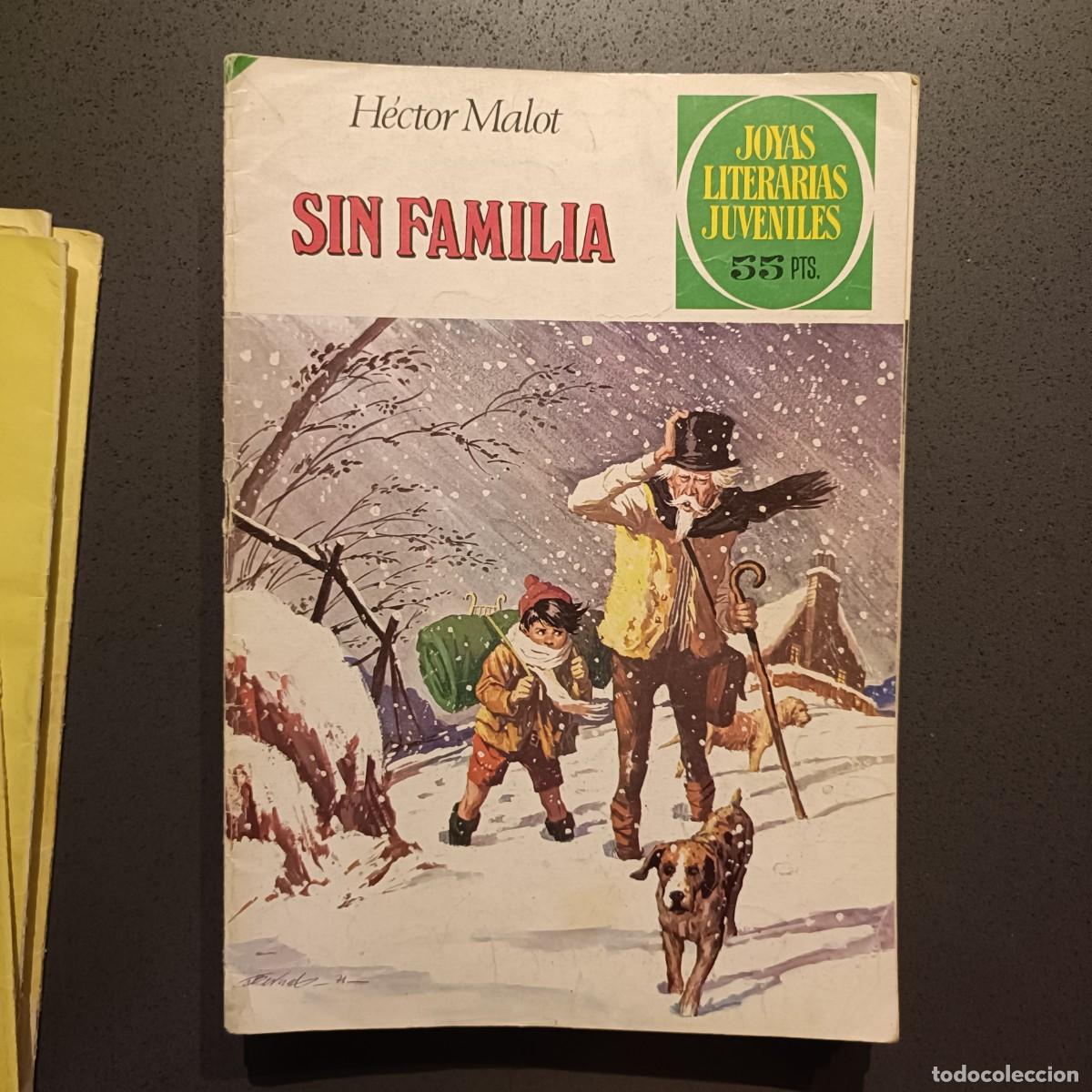 Tebeos: Joyas Literarias Juveniles - Sin Familia (H&eacute;ctor Malot), n&ordm; 31 - Bruguera 1980