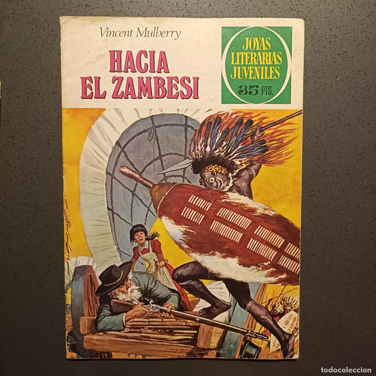 Tebeos: Joyas Literarias Juveniles - Hacia El Zambesi (Vincent Mulberry), n&ordm; 49 - Bruguera 1979