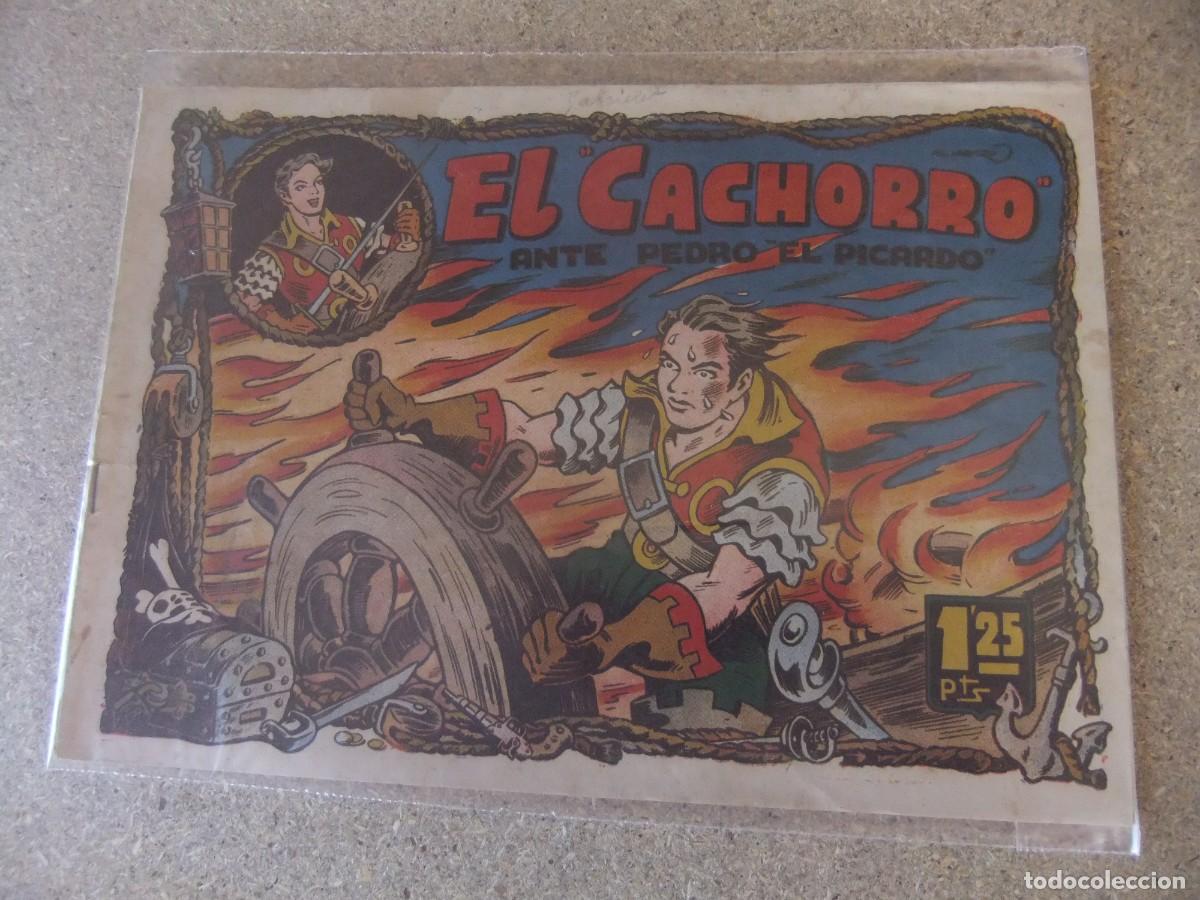 Tebeos: EL CACHORRO N&ordm; 21 EDITORIAL BRUGUERA ORIGINAL