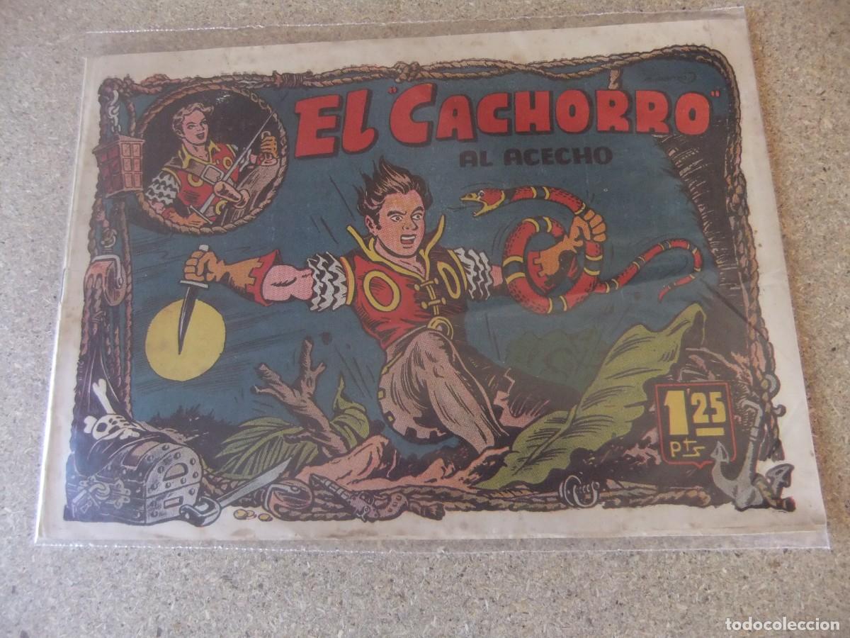 Tebeos: EL CACHORRO N&ordm; 79 EDITORIAL BRUGUERA ORIGINAL