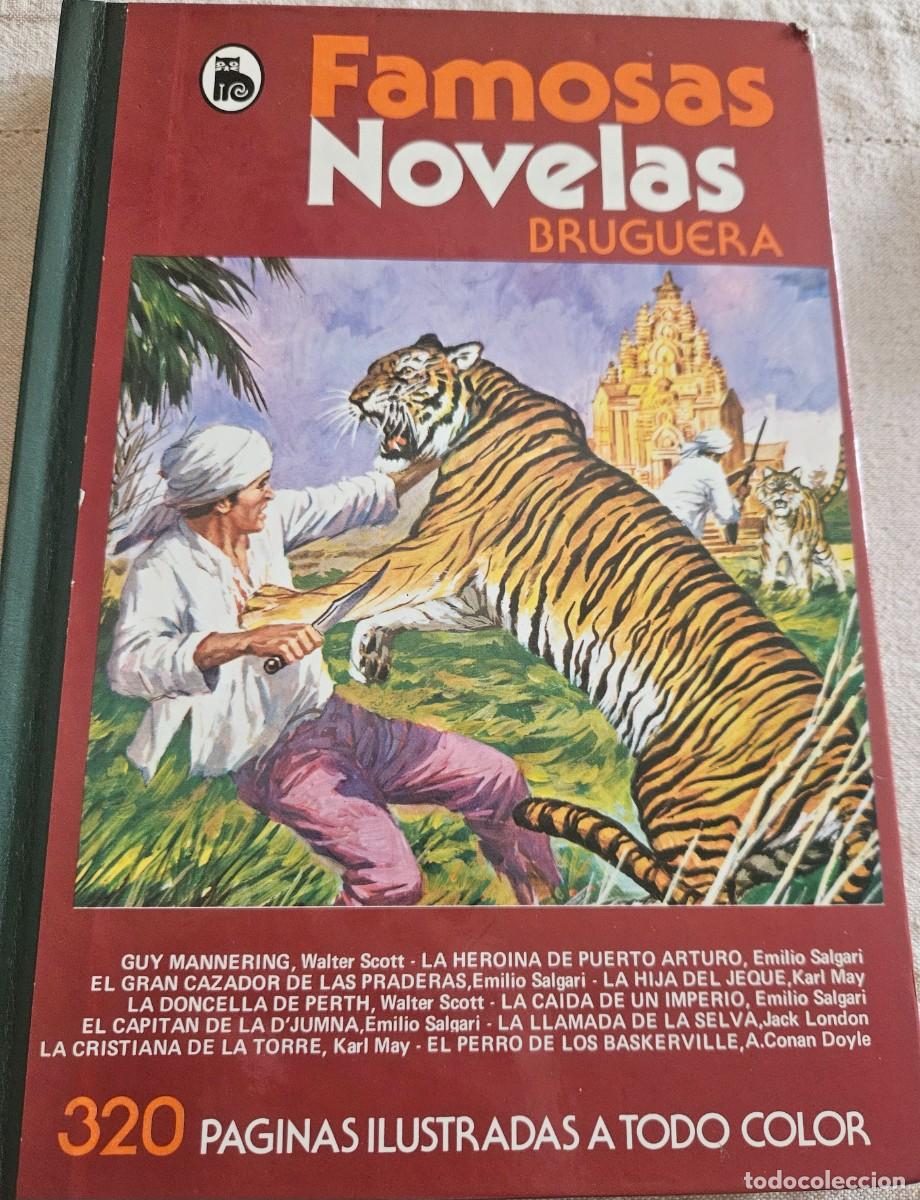 Tebeos: Famosas novelas XIX - vol 19 - Bruguera 1&ordf; edici&oacute;n 1982