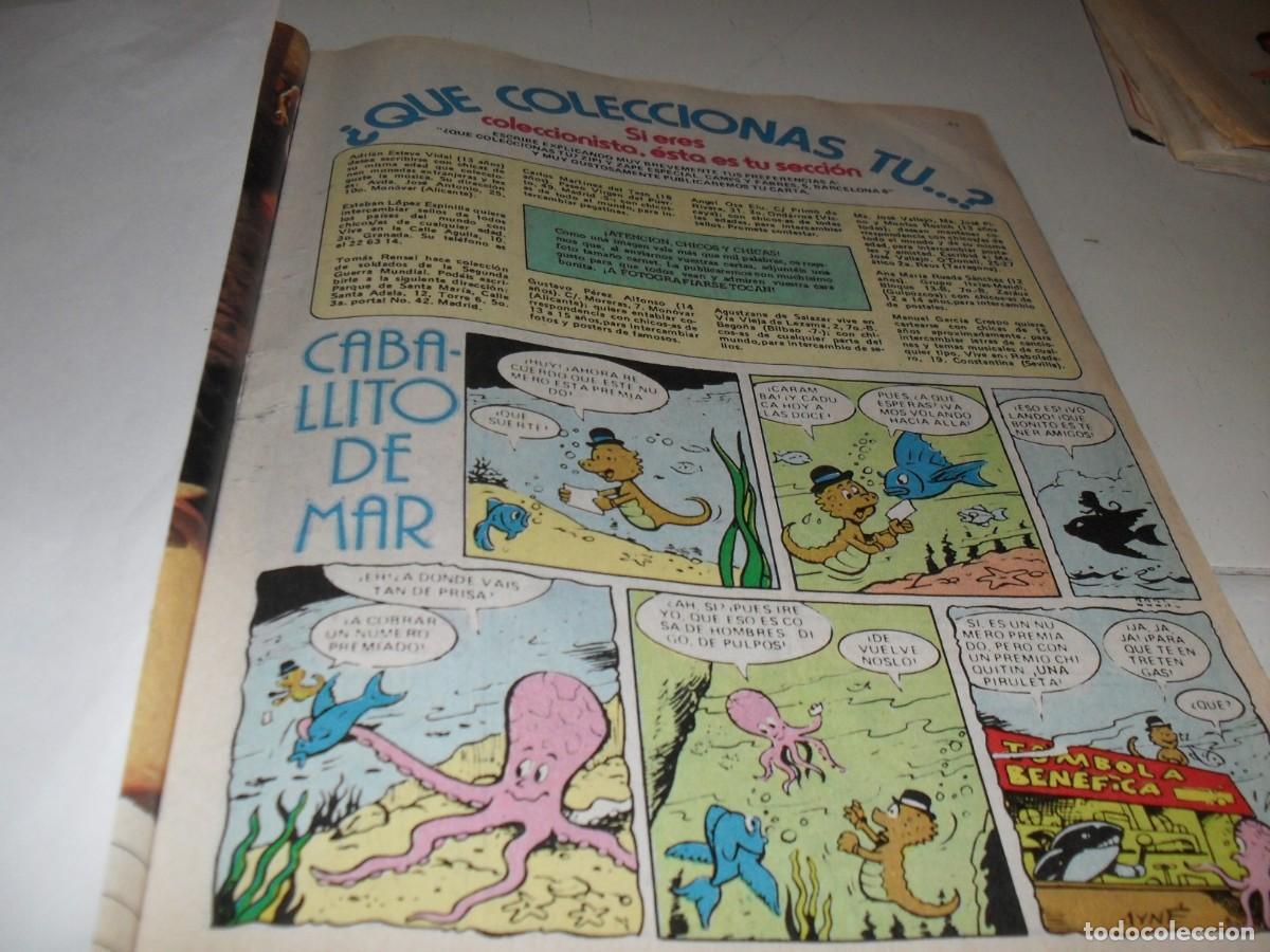 Tebeos: (REF 92).LAMINA HUMORISTICA:QUE COLECCIONAS TU?+CABALLITO DE MAR+A DISCURRIR.BRUGUERA,1980