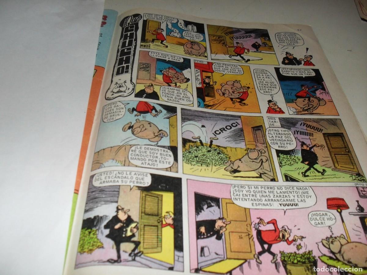 Tebeos: (REF 92).LAMINA HUMORISTICA QUE CHUCHO,DE IPC+BARON,EL GATO PARDO,DE IPC.BRUGUERA,1980