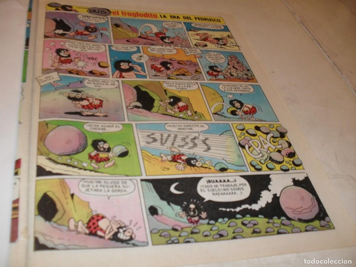 Tebeos: (REF 91),LAMINA HUMORISTICA CON HUGH,EL TROGLODITA+LA FAMILIA CEBOLLETA,DE VAZQUEZ.BRUGUERA,1979