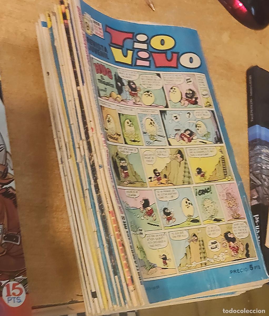 Tebeos: lote de 22 comic del ejemplar T&iacute;o Vivo, publicado por la Editorial Bruguera - a&ntilde;os 1960