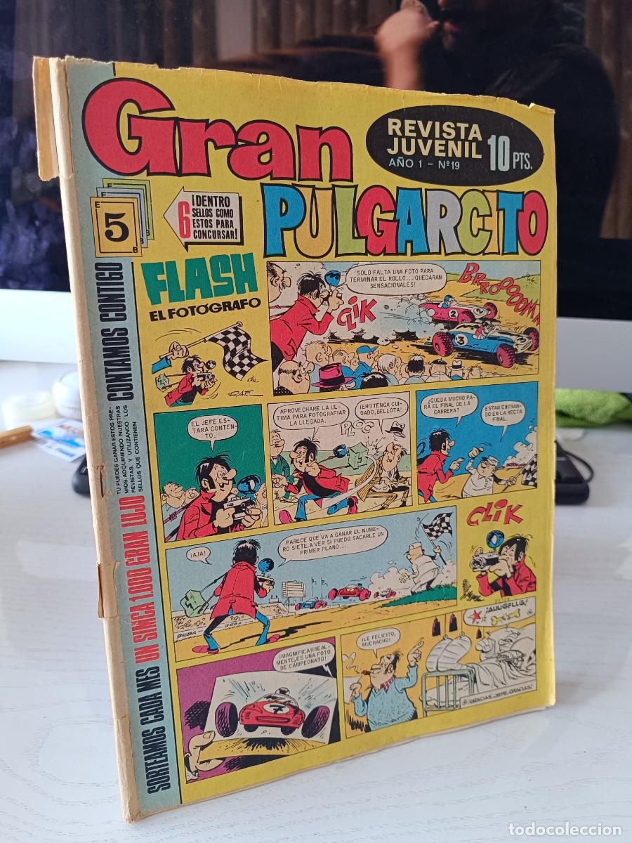 Tebeos: GRAN PULGARCITO NUMERO 19 - VER FOTOS