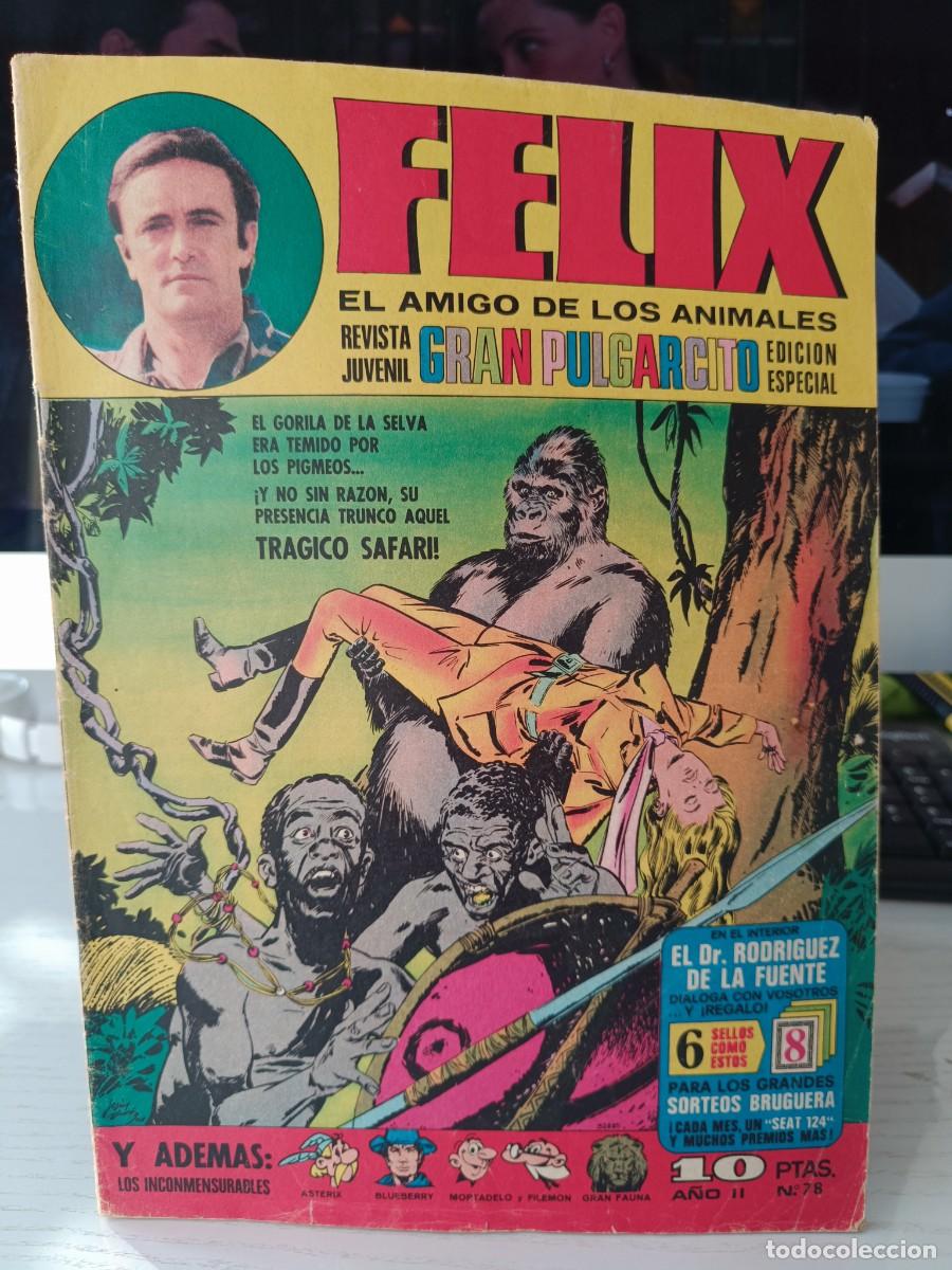 Tebeos: TEBEO FELIX EL AMIGO DE LOS ANIMALES N&ordm; 78 GRAN PULGARCITO EDICION ESPECIAL 1970