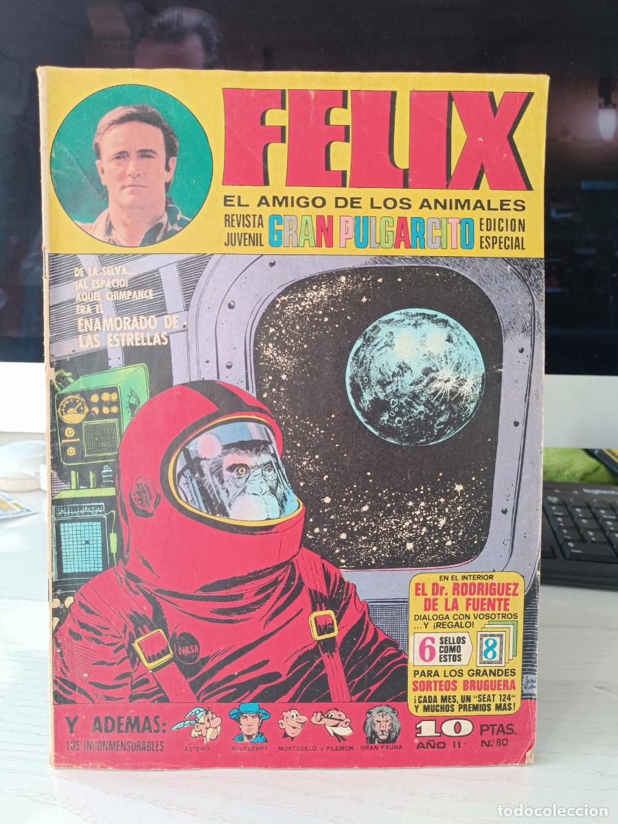 Tebeos: TEBEO FELIX EL AMIGO DE LOS ANIMALES N&ordm; 80 GRAN PULGARCITO EDICION ESPECIAL 1970