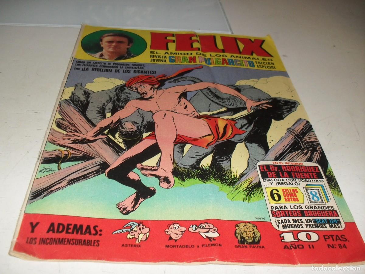 Livros de Banda Desenhada: GRAN PULGARCITO N&ordm; 84,ULTIMO Y DIFICIL N&ordm;,CON FELIX,EL AMIGO DE LOS ANIMALES.BRUGUERA,1969