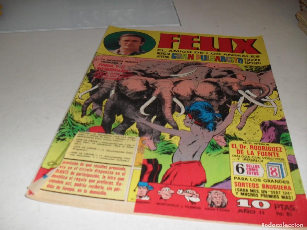 Livros de Banda Desenhada: GRAN PULGARCITO N&ordm; 82,ULTIMOS Y DIFICILES N&ordm;,CON FELIX,EL AMIGO DE LOS ANIMALES,DE 84.BRUGUERA,1969