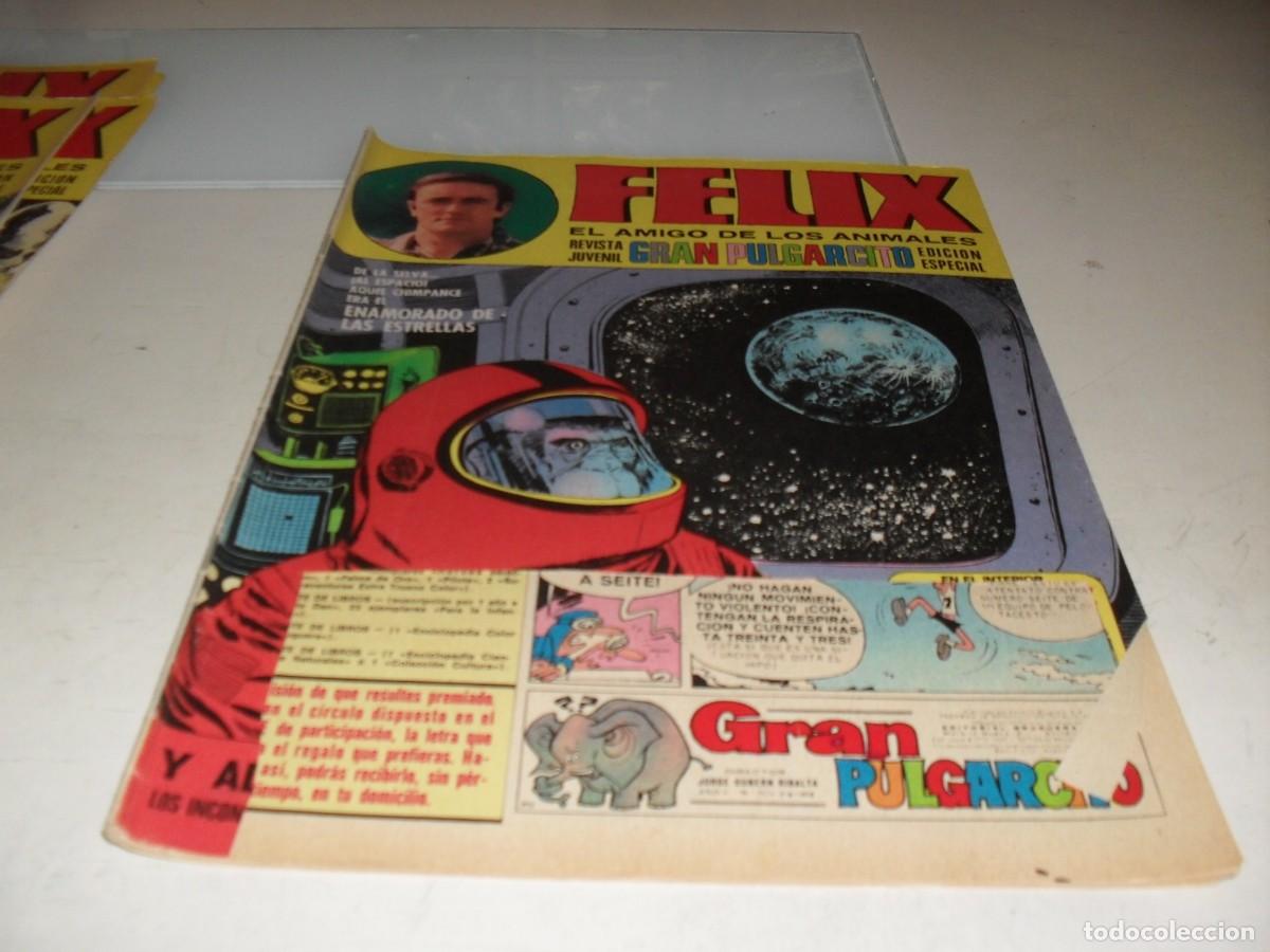 Livros de Banda Desenhada: GRAN PULGARCITO N&ordm; 80,CON FELIX,EL AMIGO DE LOS ANIMALES,DE 84.BRUGUERA,1969