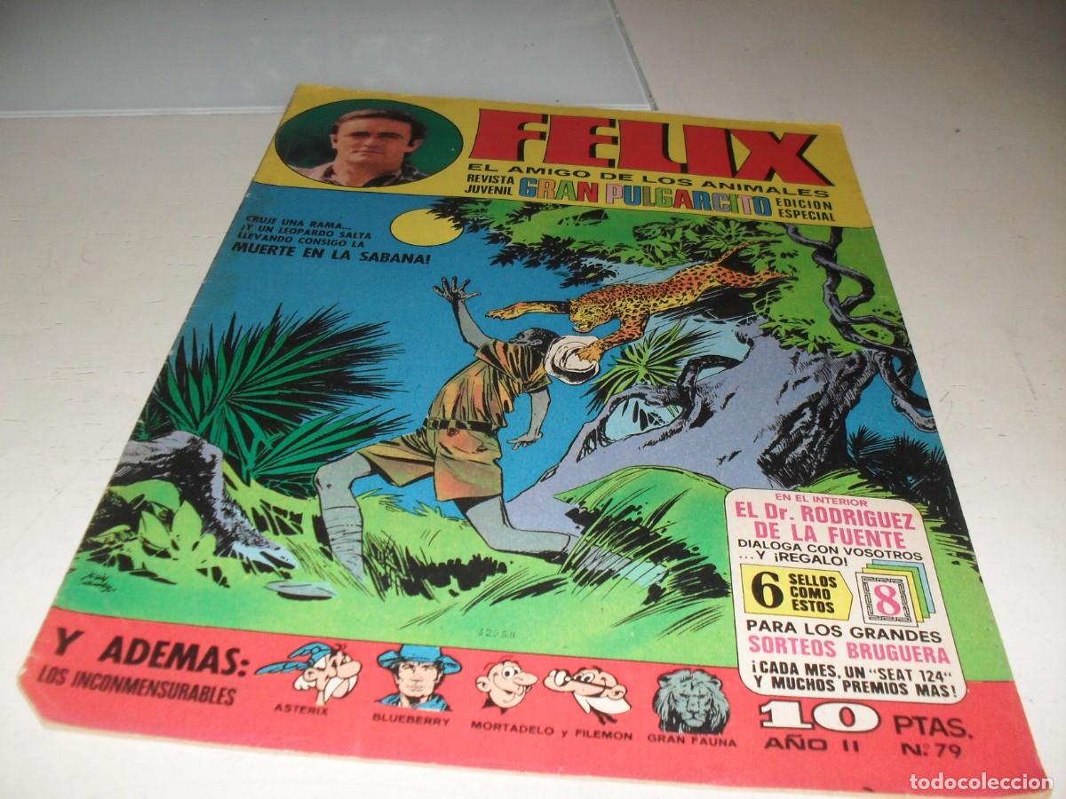Livros de Banda Desenhada: GRAN PULGARCITO N&ordm; 79,CON FELIX,EL AMIGO DE LOS ANIMALES,DE 84.BRUGUERA,1969