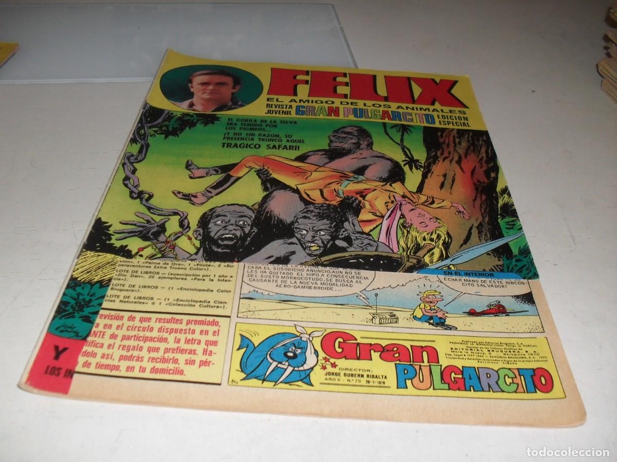 Livros de Banda Desenhada: GRAN PULGARCITO N&ordm; 78,CON FELIX,EL AMIGO DE LOS ANIMALES,DE 84.BRUGUERA,1969