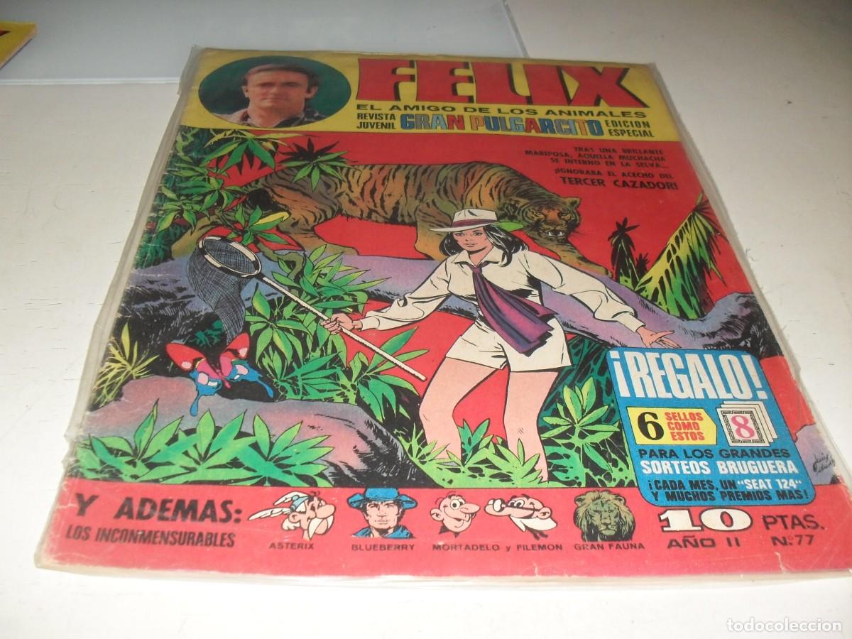 Livros de Banda Desenhada: GRAN PULGARCITO N&ordm; 77,CON FELIX,EL AMIGO DE LOS ANIMALES,DE 84.BRUGUERA,1969