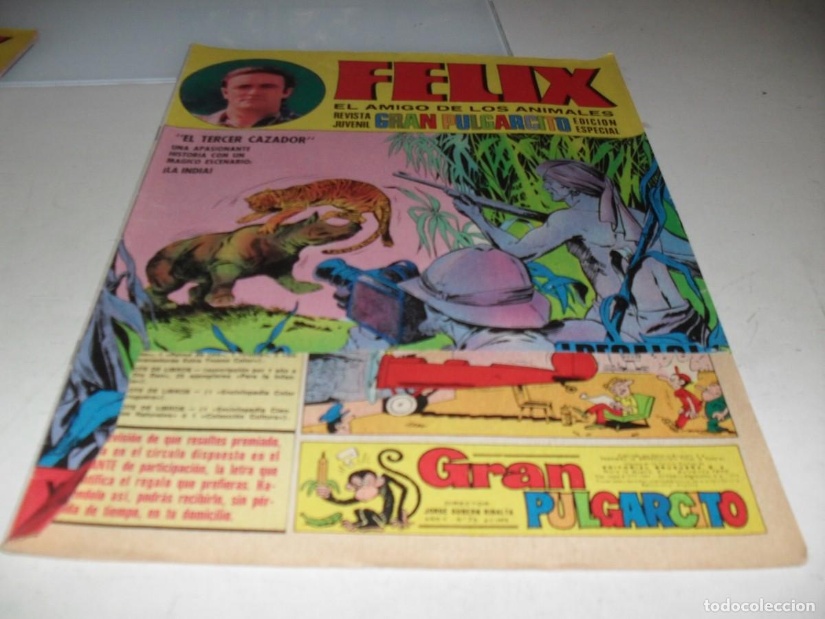 Livros de Banda Desenhada: GRAN PULGARCITO N&ordm; 76,CON FELIX,EL AMIGO DE LOS ANIMALES,DE 84.BRUGUERA,1969