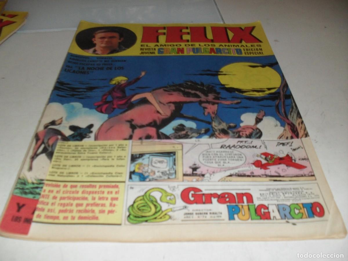 Livros de Banda Desenhada: GRAN PULGARCITO N&ordm; 74,CON FELIX,EL AMIGO DE LOS ANIMALES,DE 84.BRUGUERA,1969