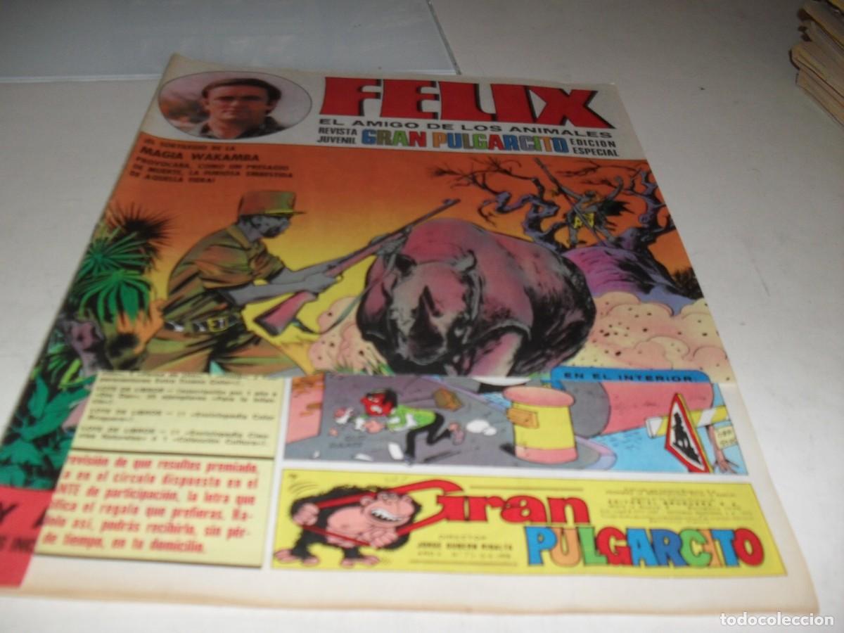 Livros de Banda Desenhada: GRAN PULGARCITO N&ordm; 73,CON FELIX,EL AMIGO DE LOS ANIMALES,DE 84.BRUGUERA,1969