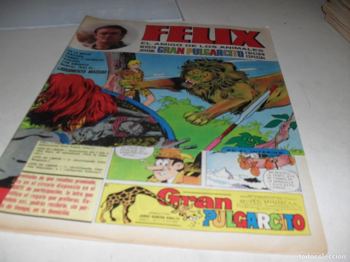Livros de Banda Desenhada: GRAN PULGARCITO N&ordm; 72,CON FELIX,EL AMIGO DE LOS ANIMALES,DE 84.BRUGUERA,1969