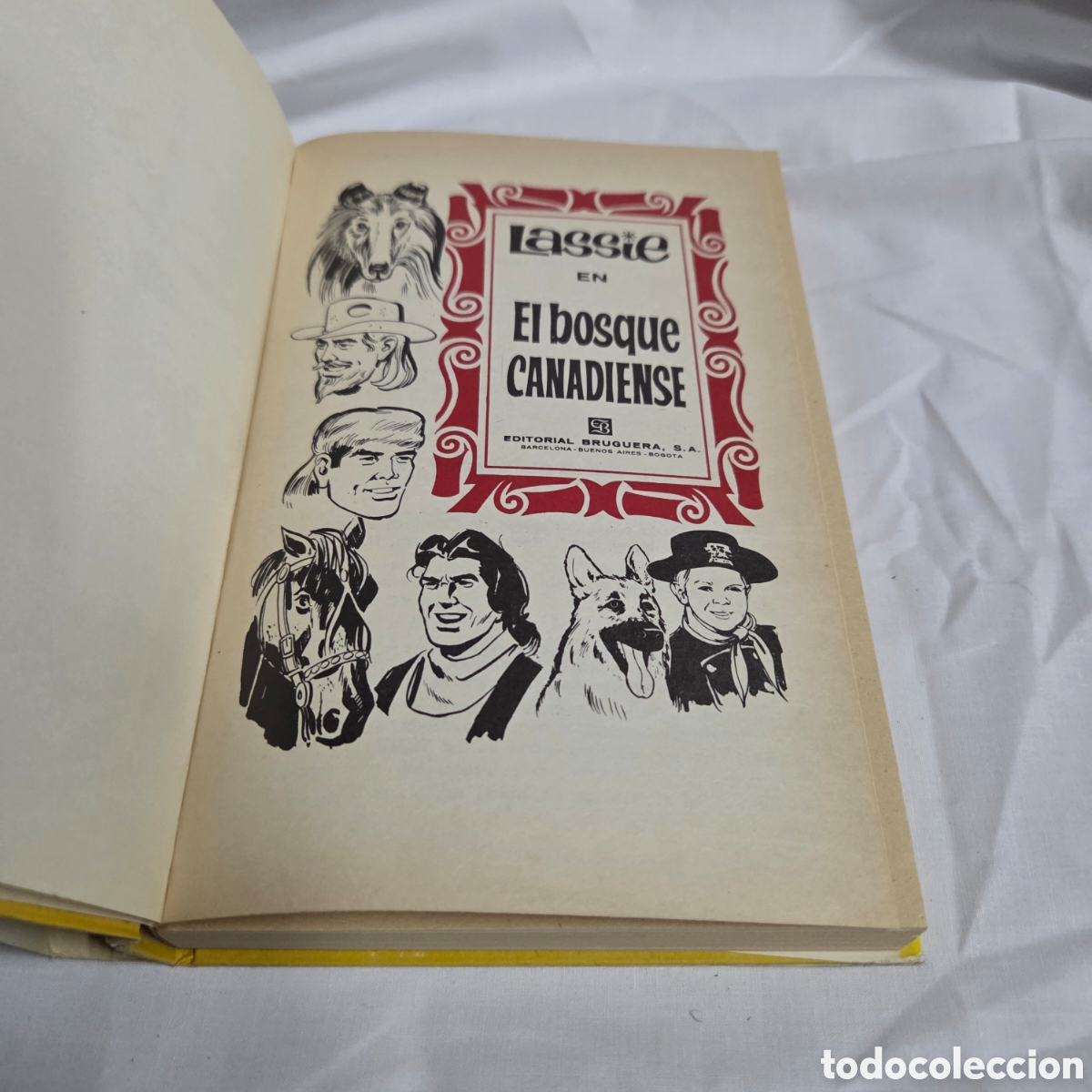 Tebeos: LASSIE EL BOSQUE CANADIENSE - Foto 2