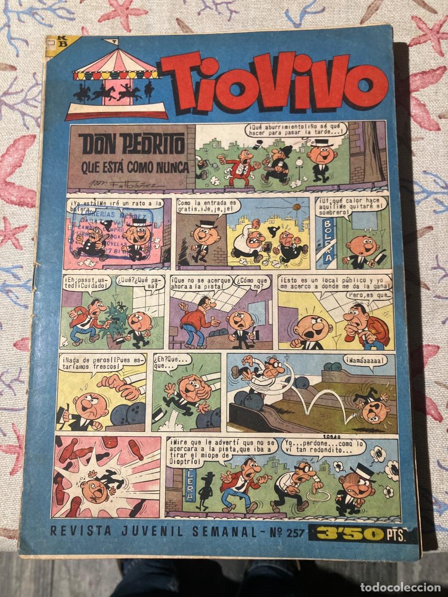 Tebeos: T&Iacute;O VIVO - N&Uacute;MERO 257 - SEGUNDA &Eacute;POCA - BRUGUERA