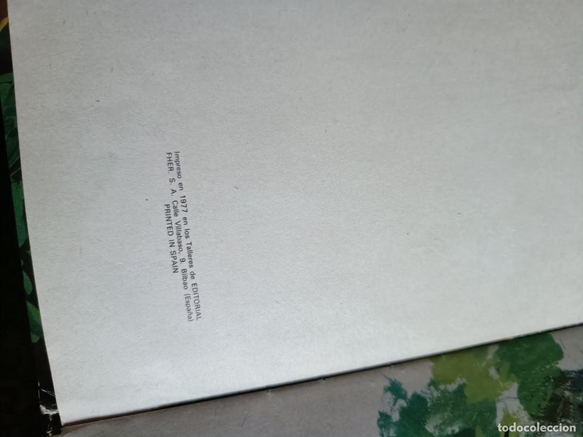 Tebeos: COMIICS TBO CUENTO TEBEO ROBIN DE LOS BOSQUES - Foto 3
