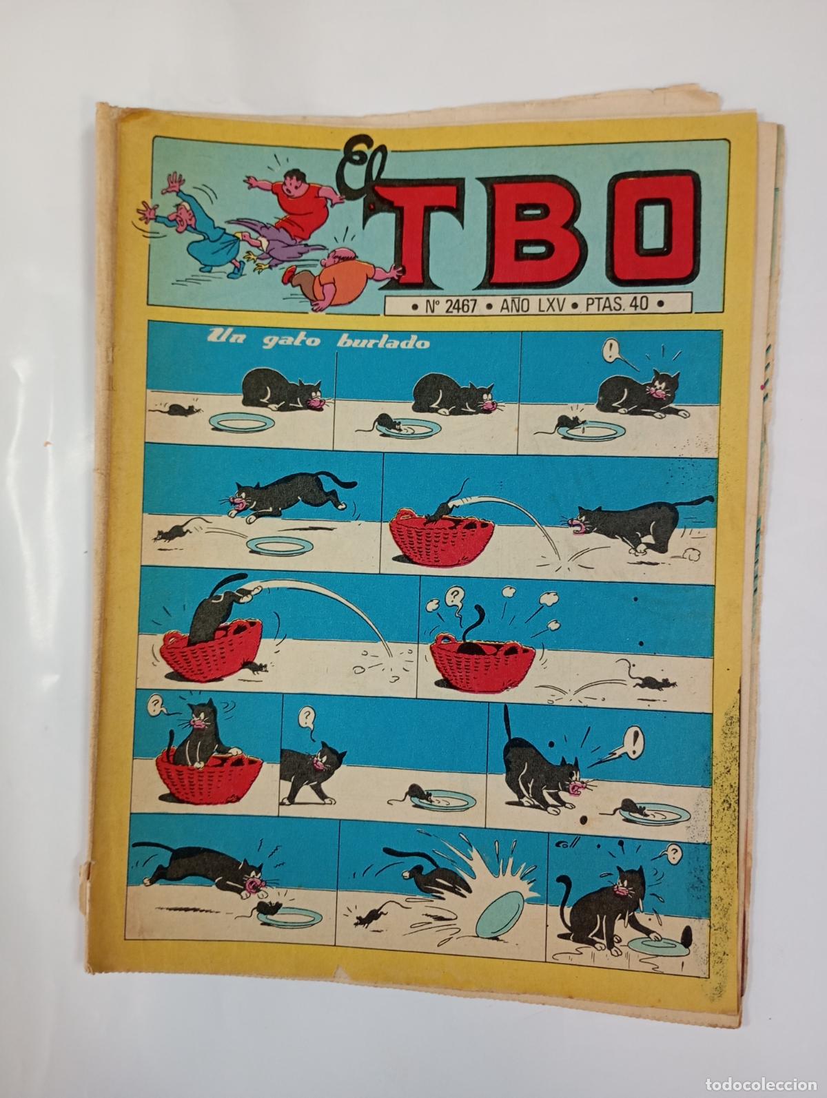 Tebeos: TBO N&ordm; 2467. A&Ntilde;O XLV. UN GATO BURLADO. TDKR94
