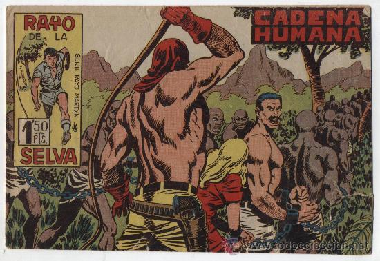 Tebeos: Rayo de la Selva 42. Maga. - Foto 1