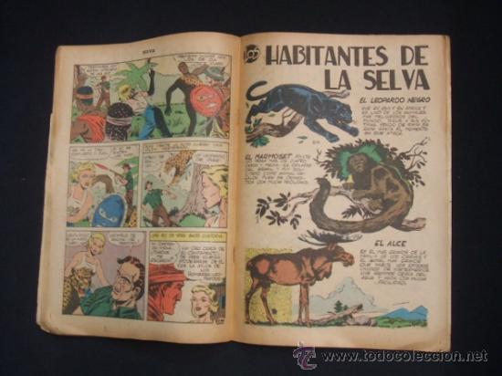 Tebeos: SELVA - N&ordm; 65 - 1 DE MARZO DE 1958 - EXPORT NEWSPAPER SERVICE - - Foto 4