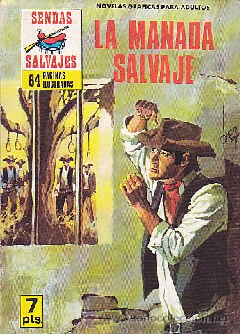 Tebeos: COMIC COLECCION SENDAS DEL OESTE N&ordm; 14 - Foto 1