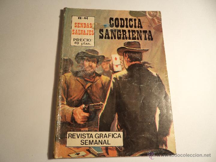 Tebeos: Sendas salvajes. n&ordm; 44. antalbe. (f-2) - Foto 1