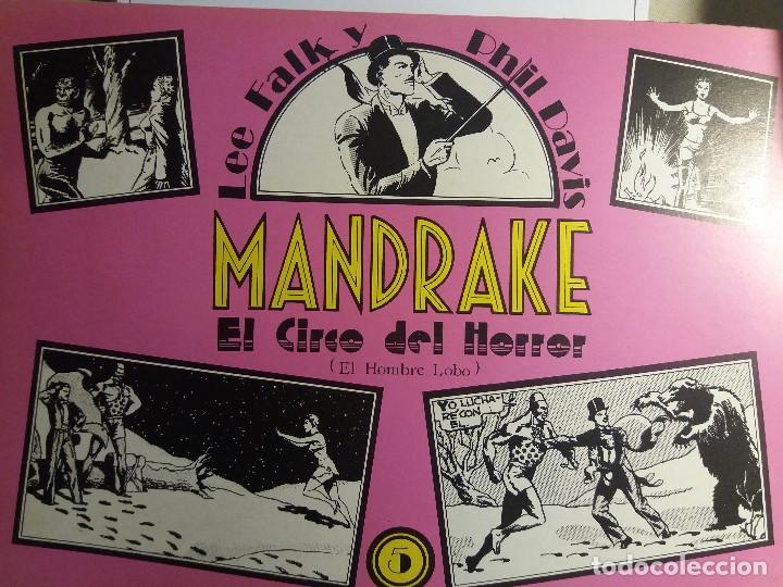 Tebeos: Mandrake, Ed. Eseuve, Edicion cronologica n&ordm; 5 - Foto 1