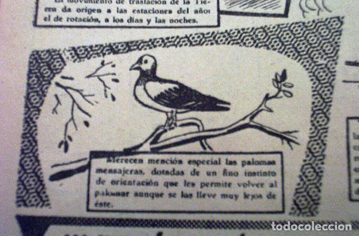 Tebeos: K.D.T. - N&Uacute;MERO 16 - MUY BUEN ESTADO - Foto 7