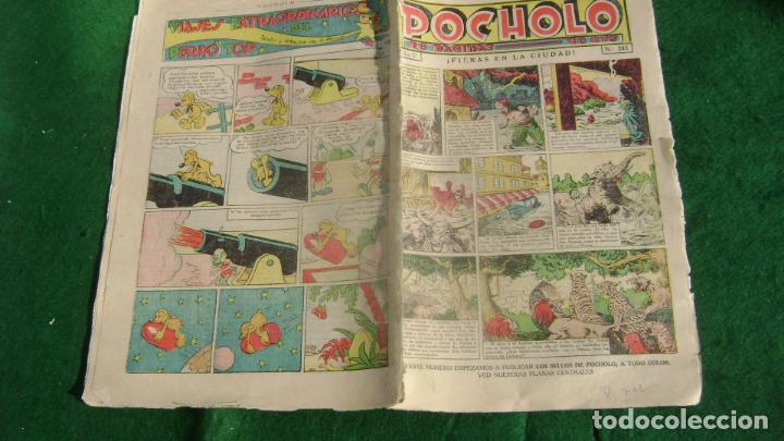 Tebeos: POCHOLO A&Ntilde;OS 30 NUM 205    SOFBIUBLIO - Foto 1