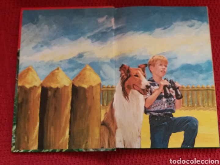 Tebeos: LASSIE EDICIONES LAIDA 1969 - Foto 2