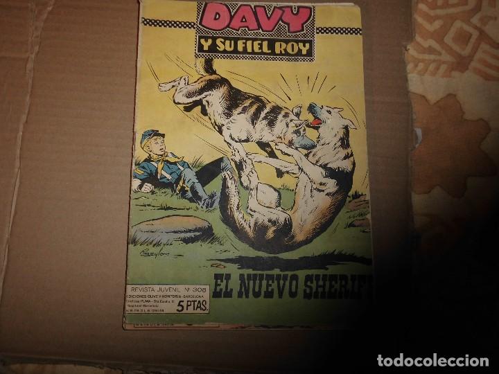 Tebeos: DAVY Y SU FIEL ROY N&ordm; 308 - Foto 1
