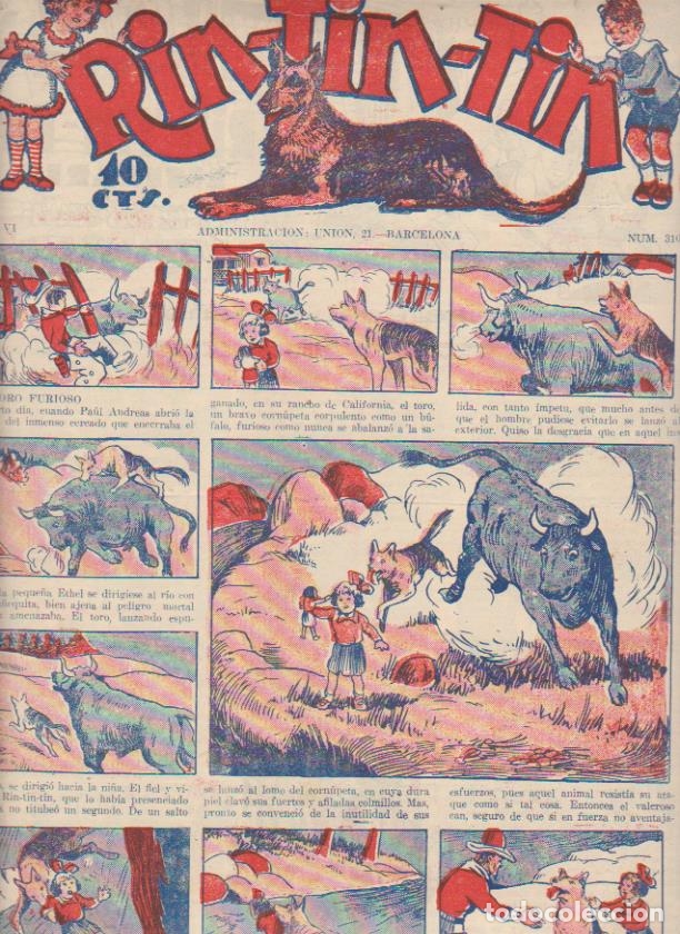 Tebeos: Rin Tin Tin n&ordm; 310. Marco 1930 - Foto 1