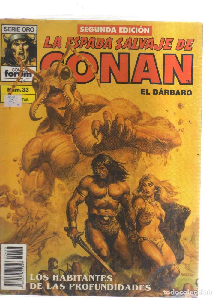 Tebeos: CONAN EL BARBARO  LA ESPADA SALVAJE N,33 - Foto 1